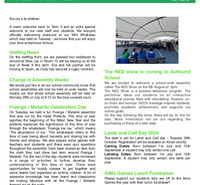 Newsletter Wk1, T3 2024