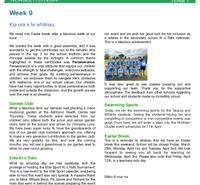 Newsletter Wk9, T1 2024