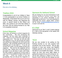 Newsletter Wk6, T1 2024