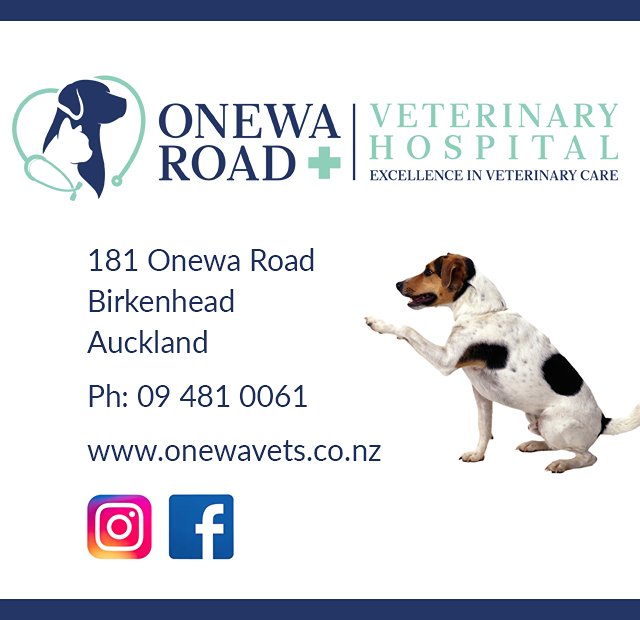 Onewa Road Veterinary Hospital