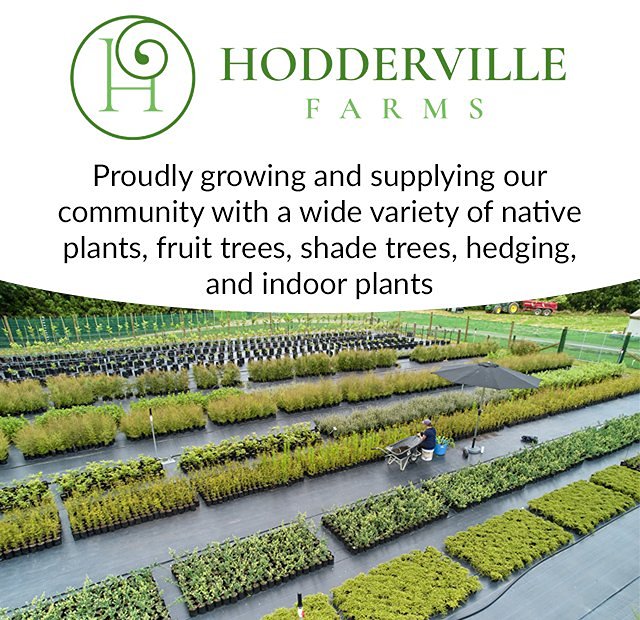Hodderville Farms