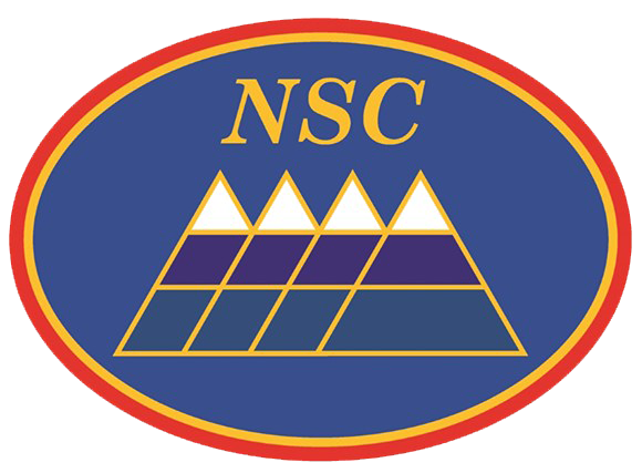 Logo Footer
