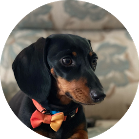Frankie
