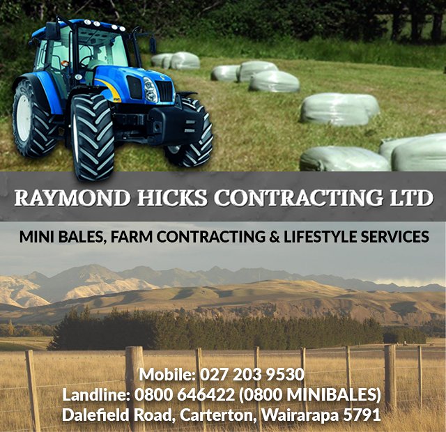 Raymond Hicks Contracting Ltd