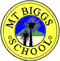 Logo Footer