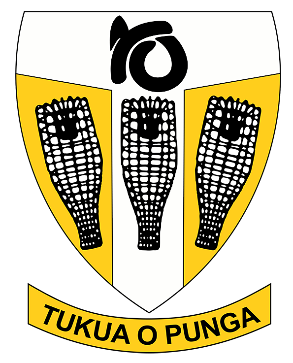 Logo Footer