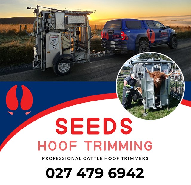 Seeds Hoof Trimming