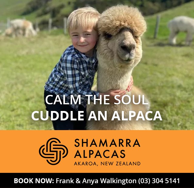 Shamarra Alpacas