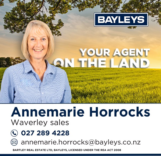 Annemarie Horrocks - Bartley Real Estate