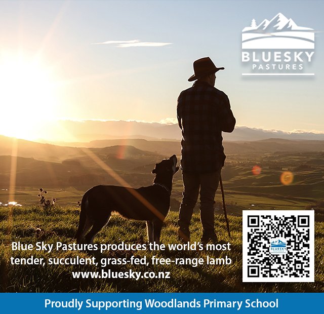 Blue Sky Pastures