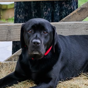 Ruby