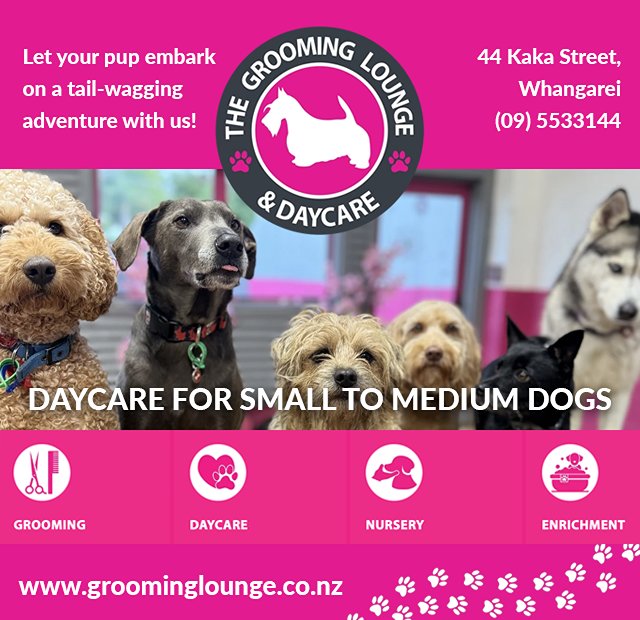 The Grooming Lounge & Daycare
