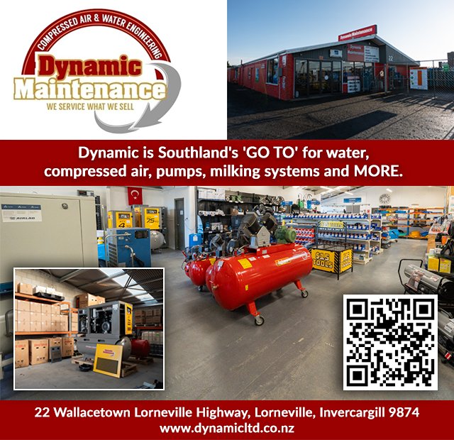 Dynamic Maintenance Limited