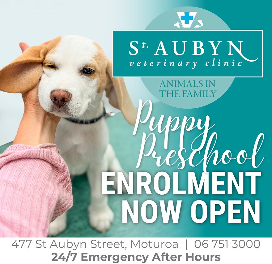 St Aubyn Vet