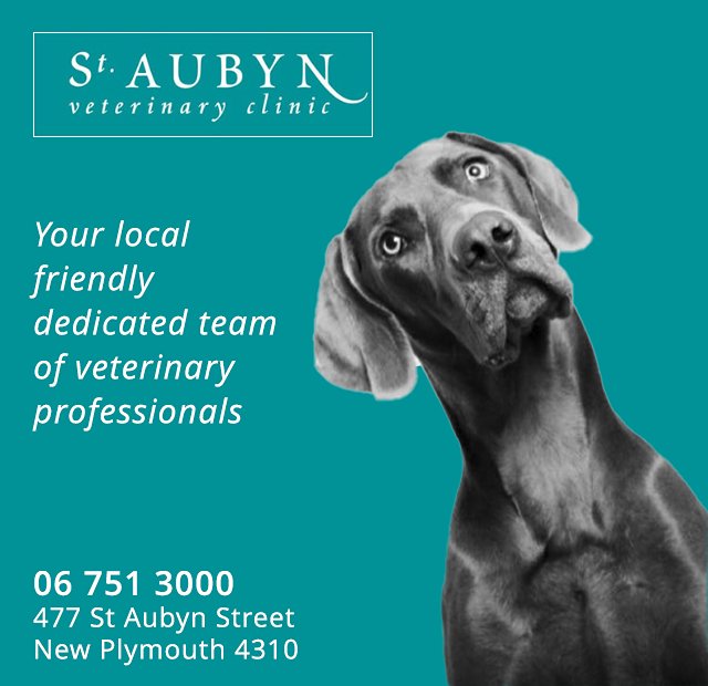 St Aubyn Vet