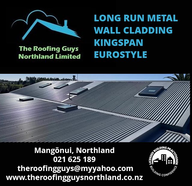 The Roofing Guys Northland